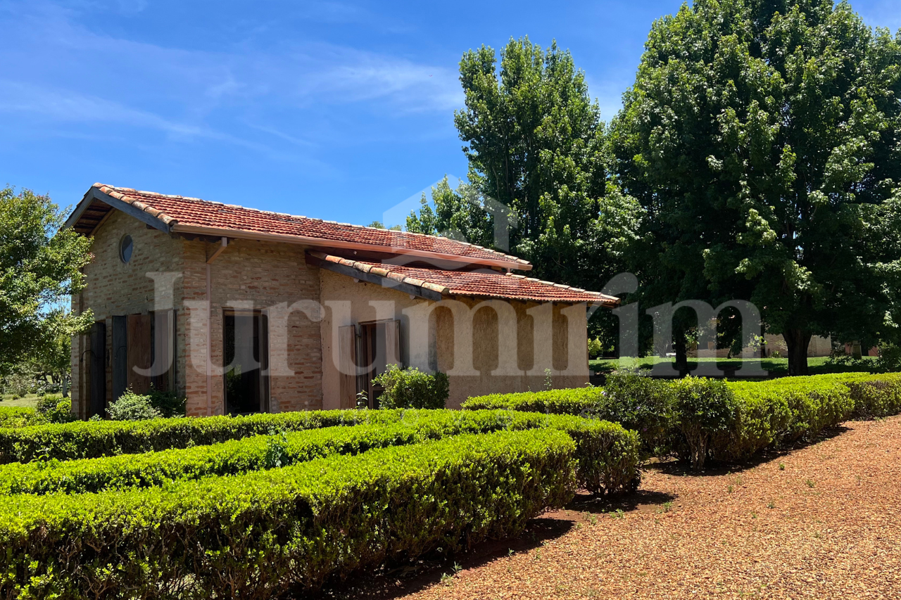 Sem nome (1280 x 853 px) - 11