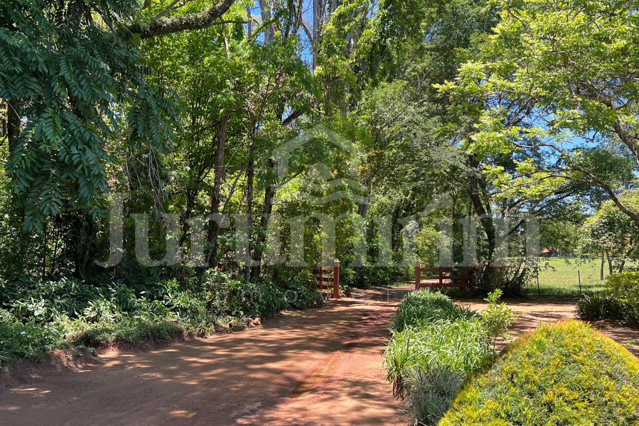 Sem nome (1280 x 853 px) - 19