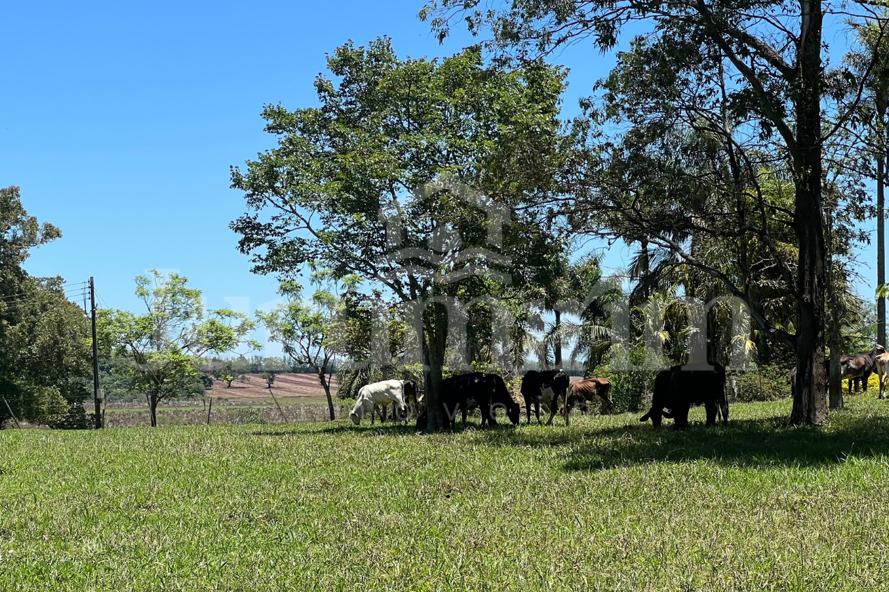 Sem nome (1280 x 853 px) - 20