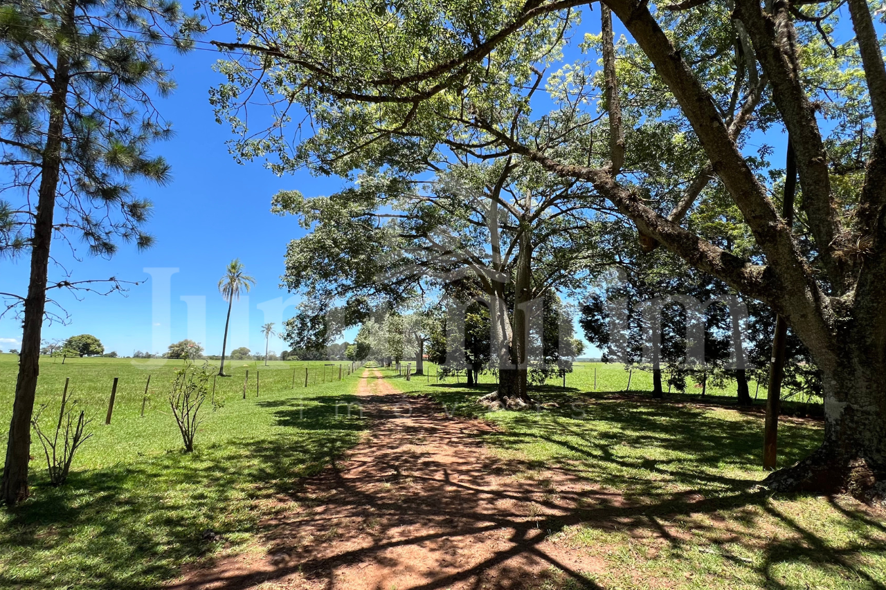 Sem nome (1280 x 853 px) - 22