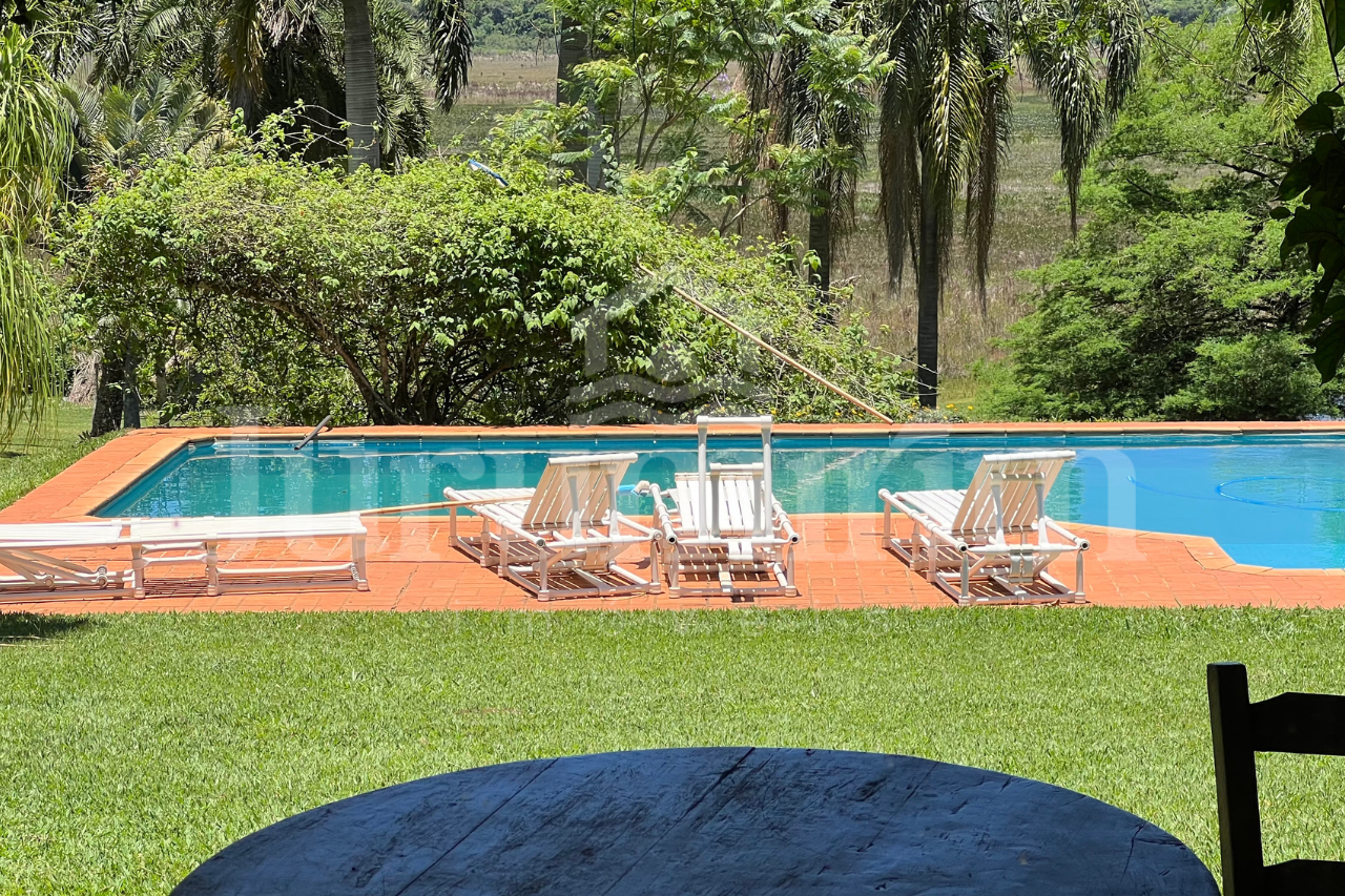 Sem nome (1280 x 853 px) - 5