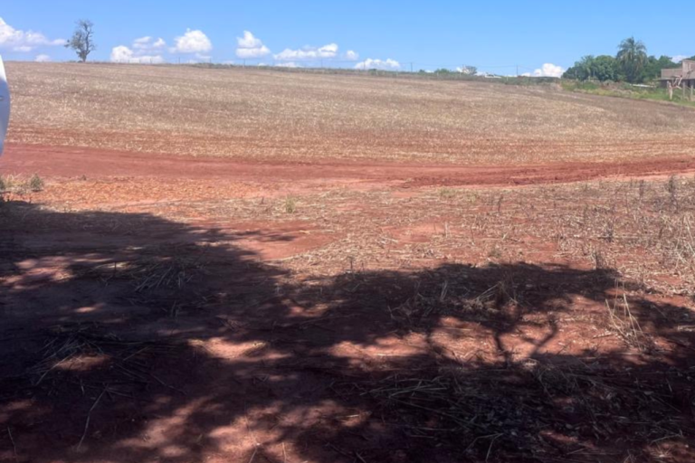 Lote do Lago