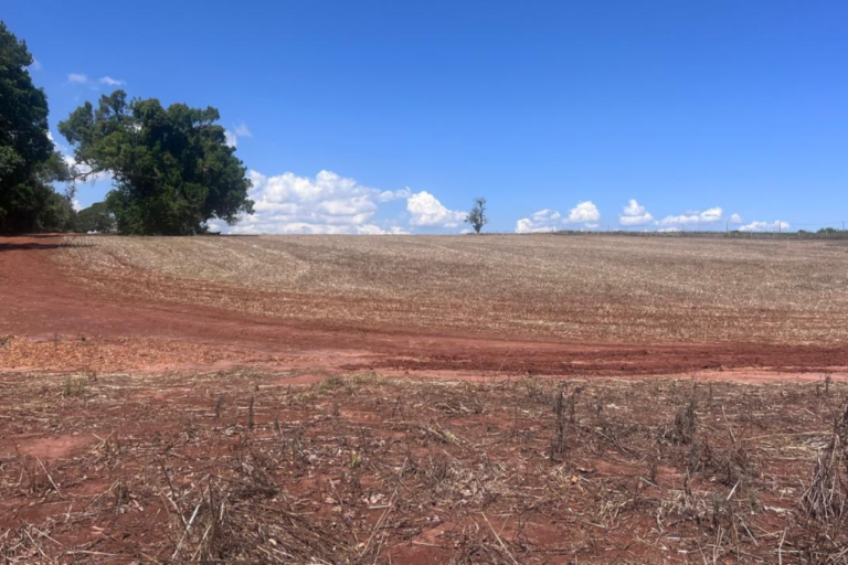 Lote Rio Paranapanema