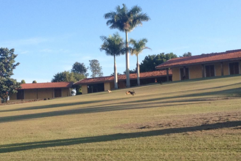 Fazenda Aubrac