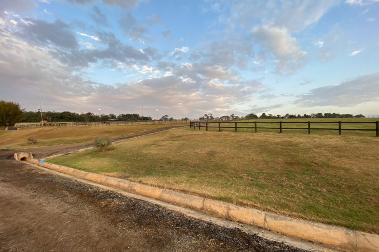 Fazenda Brava