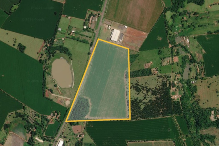 Fazenda Mandarim