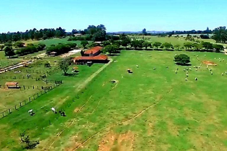 Fazenda Palmas