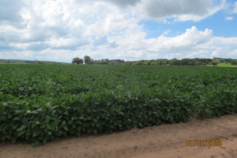 Fazenda Santa Izabel