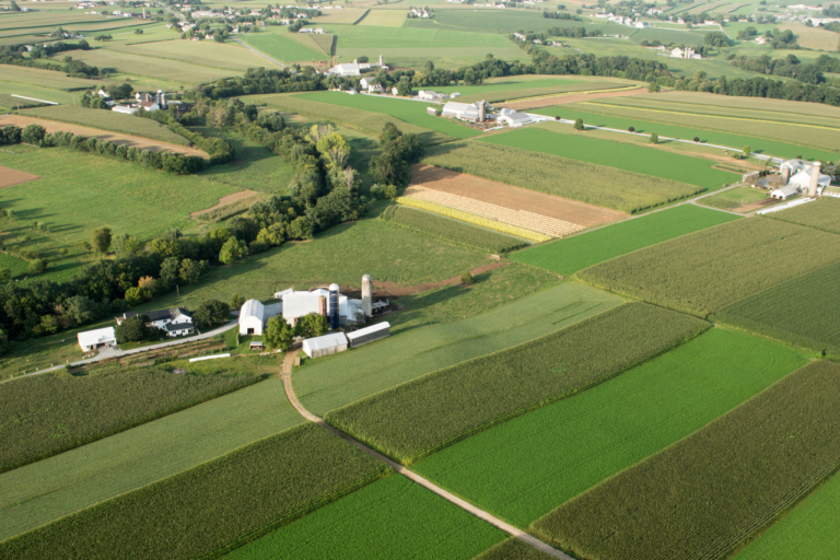 Fazenda das Colinas