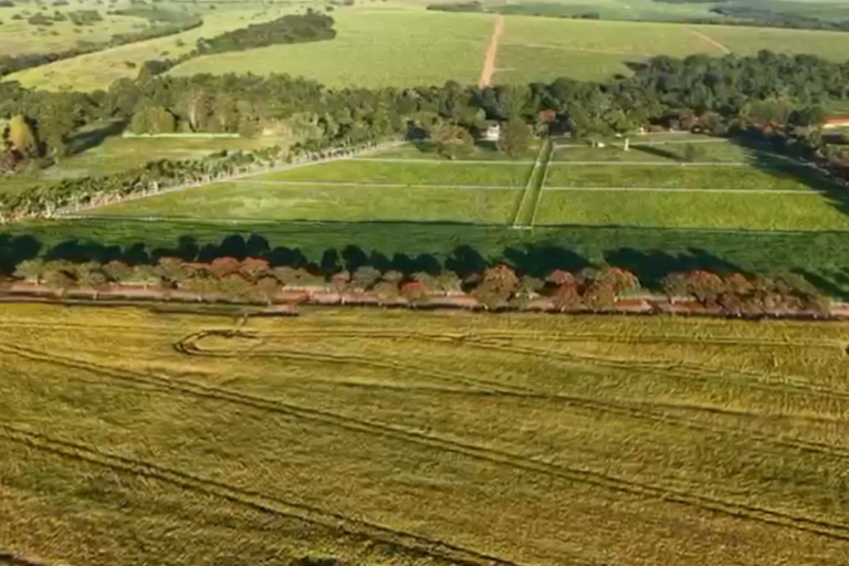 Haras Ilhós